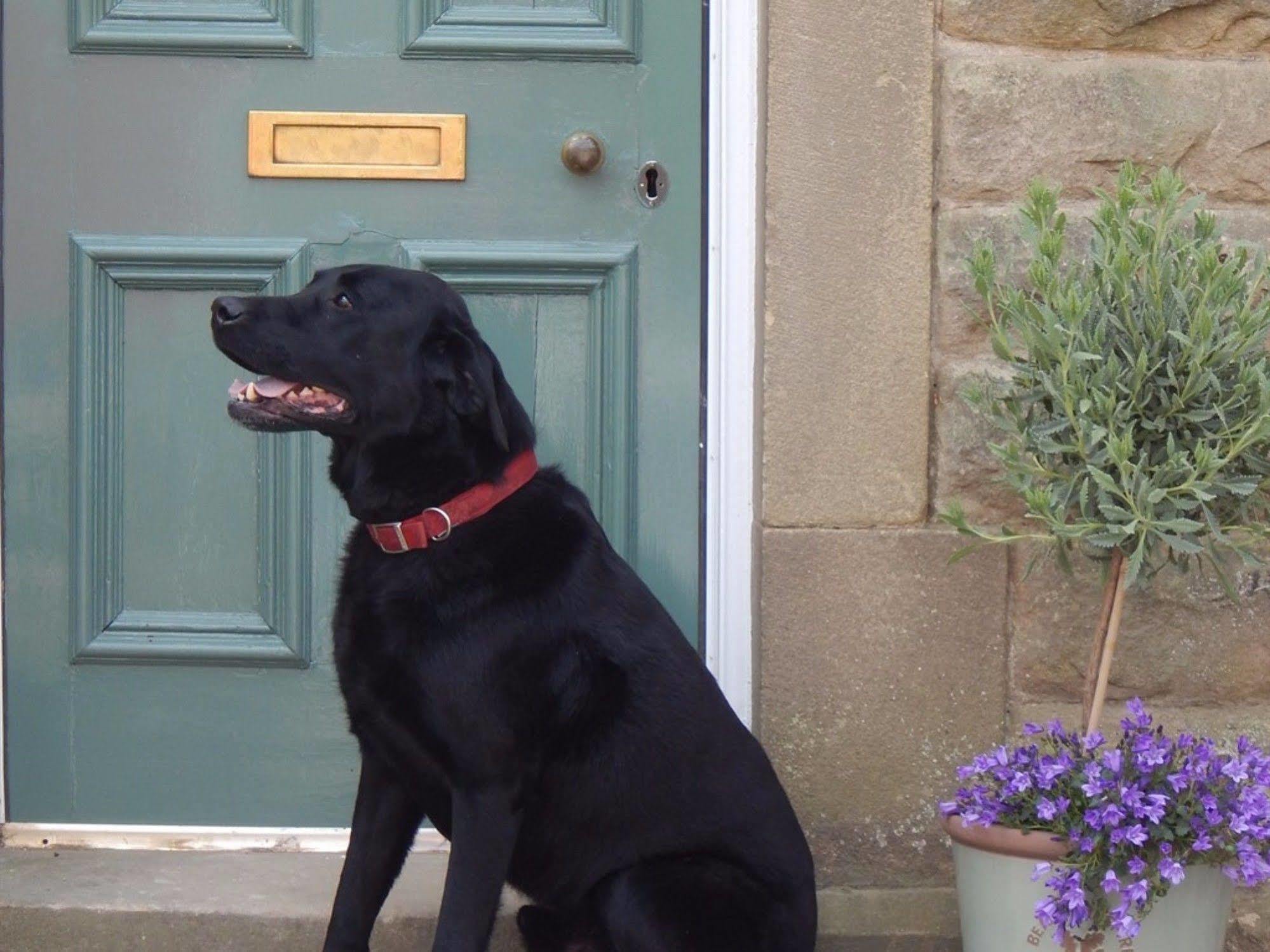 Bed and Breakfast Fern Bank Great Rowsley Exterior foto